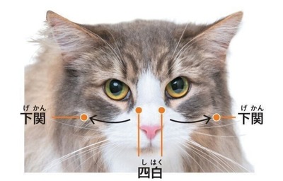 Screenshot_20240801_000104_LINE