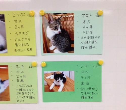 2014-09-21-11-12-06