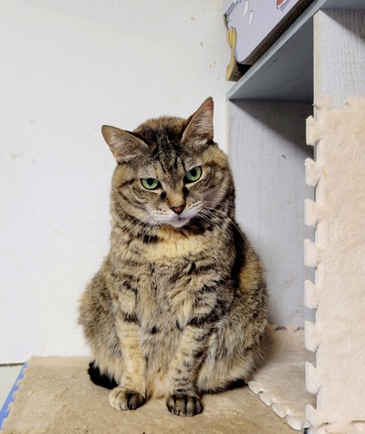 2024-02-10-16-52-11-729