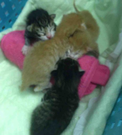 IMG_5308