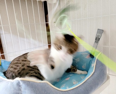 20240831_155309