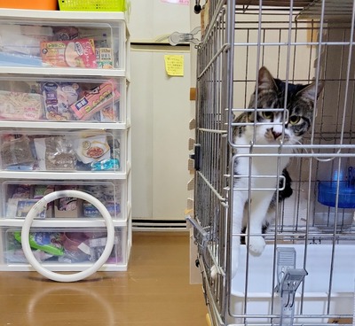 2022-12-17-18-16-05-270