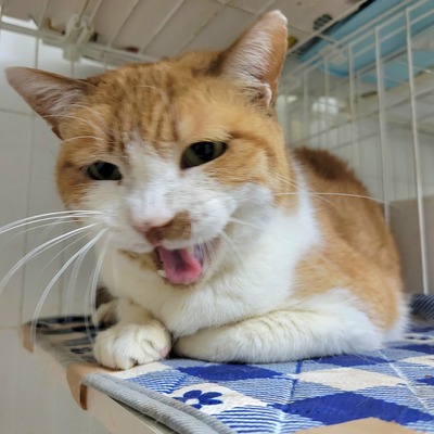 20260218_210030