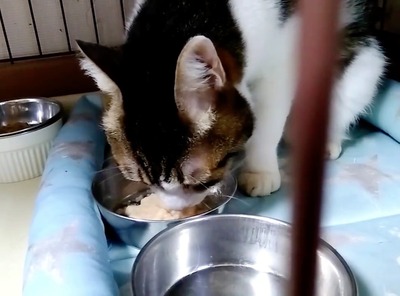 VideoCapture_20240604-231658