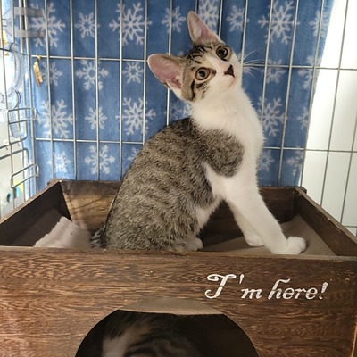2021-09-09-23-45-00-539