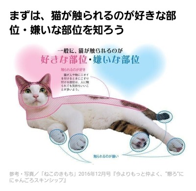 Screenshot_20220914-205251_LINE