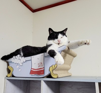 2022-06-18-16-30-19-224
