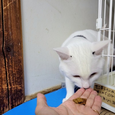 2022-11-08-18-06-18-867