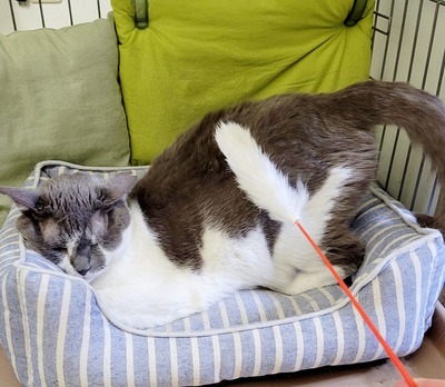2022-07-02-19-07-38-631
