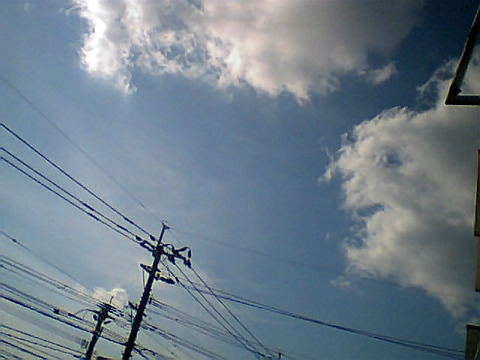 photo009 (2)