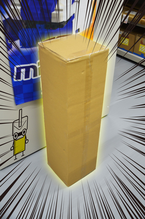 DSC_2433 のコピー