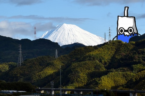 010