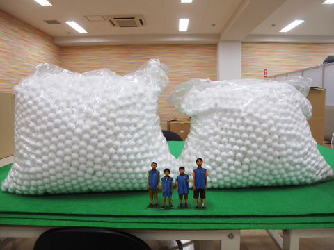 大きさ比較