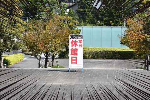 DSC_8692 のコピー