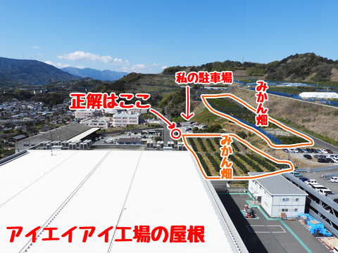 クイズ
