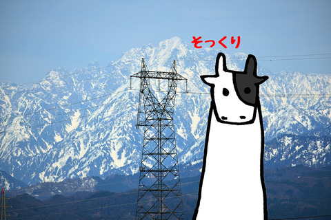 011 のコピー