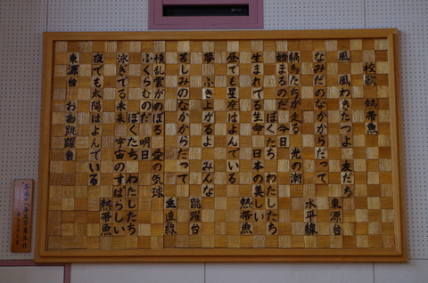 IMGP4605