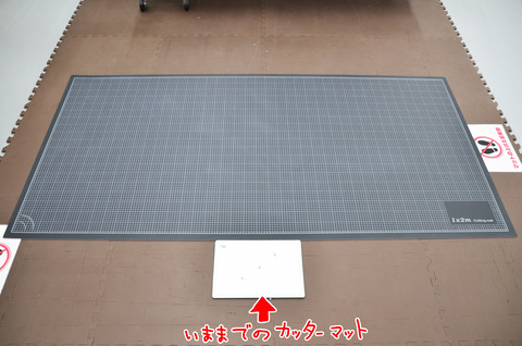 DSC_2437 のコピー