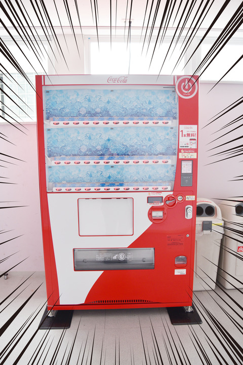 DSC_6416 のコピー