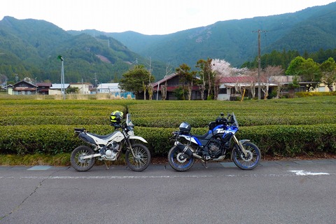 P1021547 のコピー