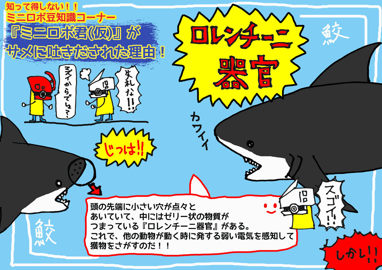 サメ ミニロボ無関係 意味不明 ミニロボ通信