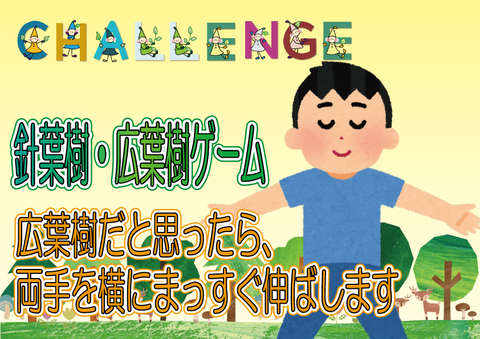 針葉樹・広葉樹ゲーム③