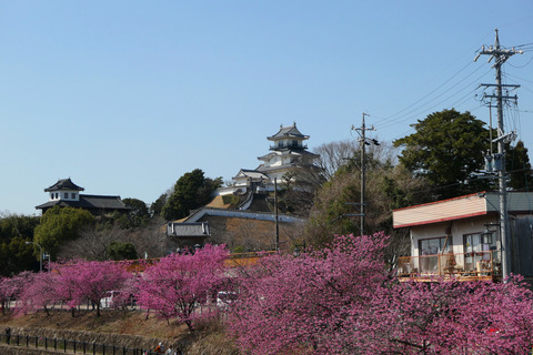P1012011
