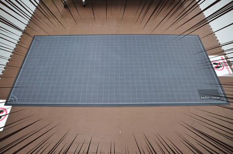 DSC_2435 のコピー