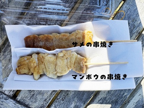 DSC_3449 のコピー