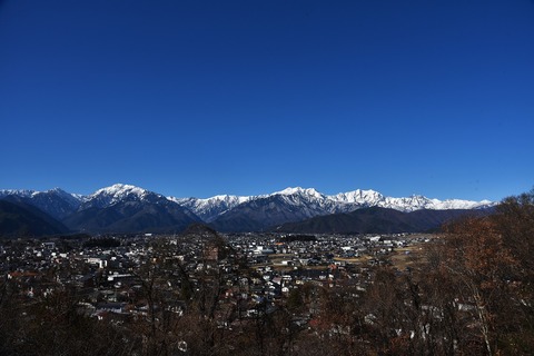 DSC_9333