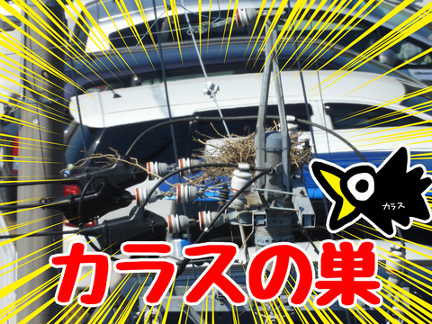 DSCN1031