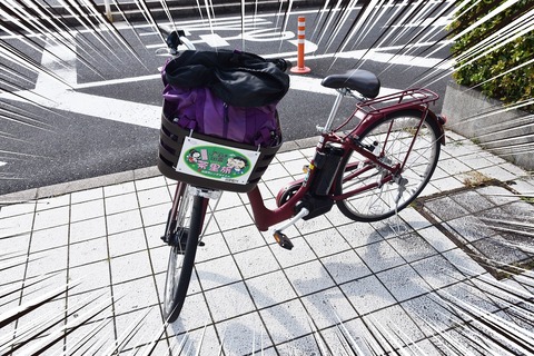 DSC_8597 のコピー