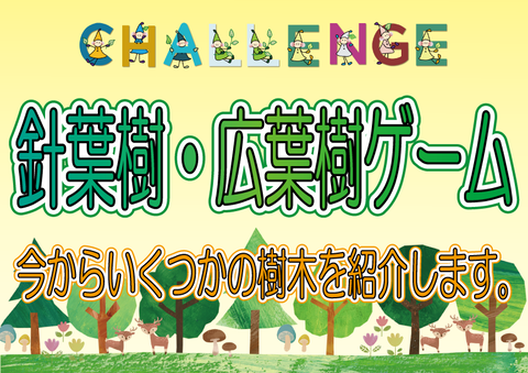針葉樹・広葉樹ゲーム①