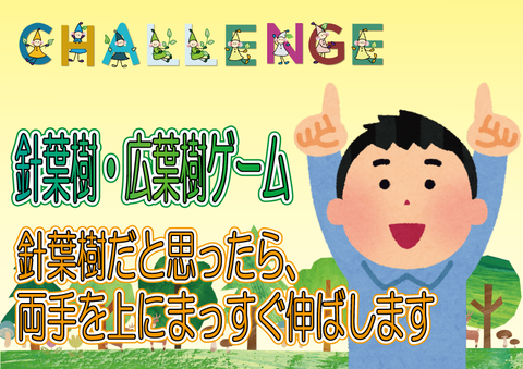 針葉樹・広葉樹ゲーム②