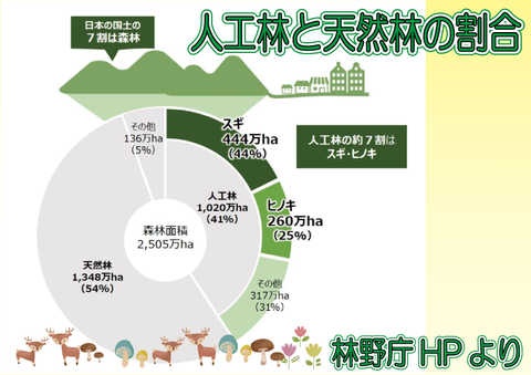⑮人工林と天然林の割合