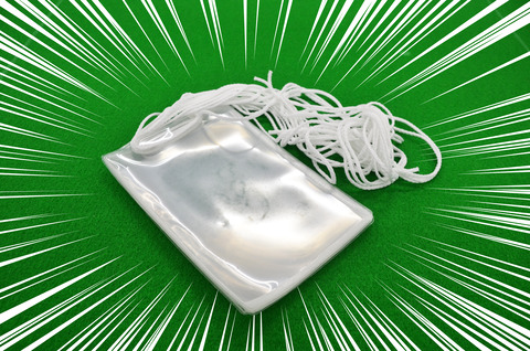 DSC_2088 のコピー