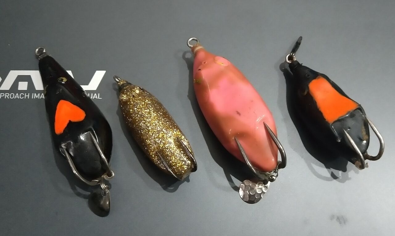 全都道府県雷魚釣獲計画 山形 Minisukeの日々 全都道府県雷魚釣獲計画 山形 Minisukeの日々