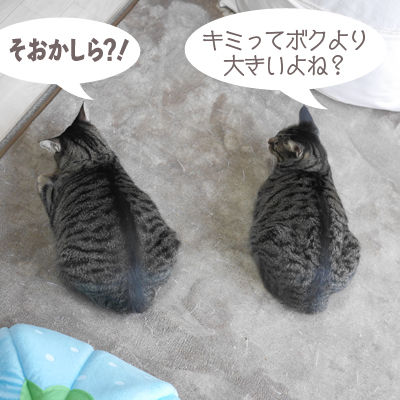 イメージ 2