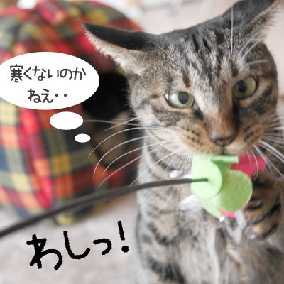 イメージ 3
