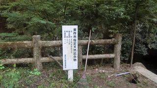 天石門別神社 (3)