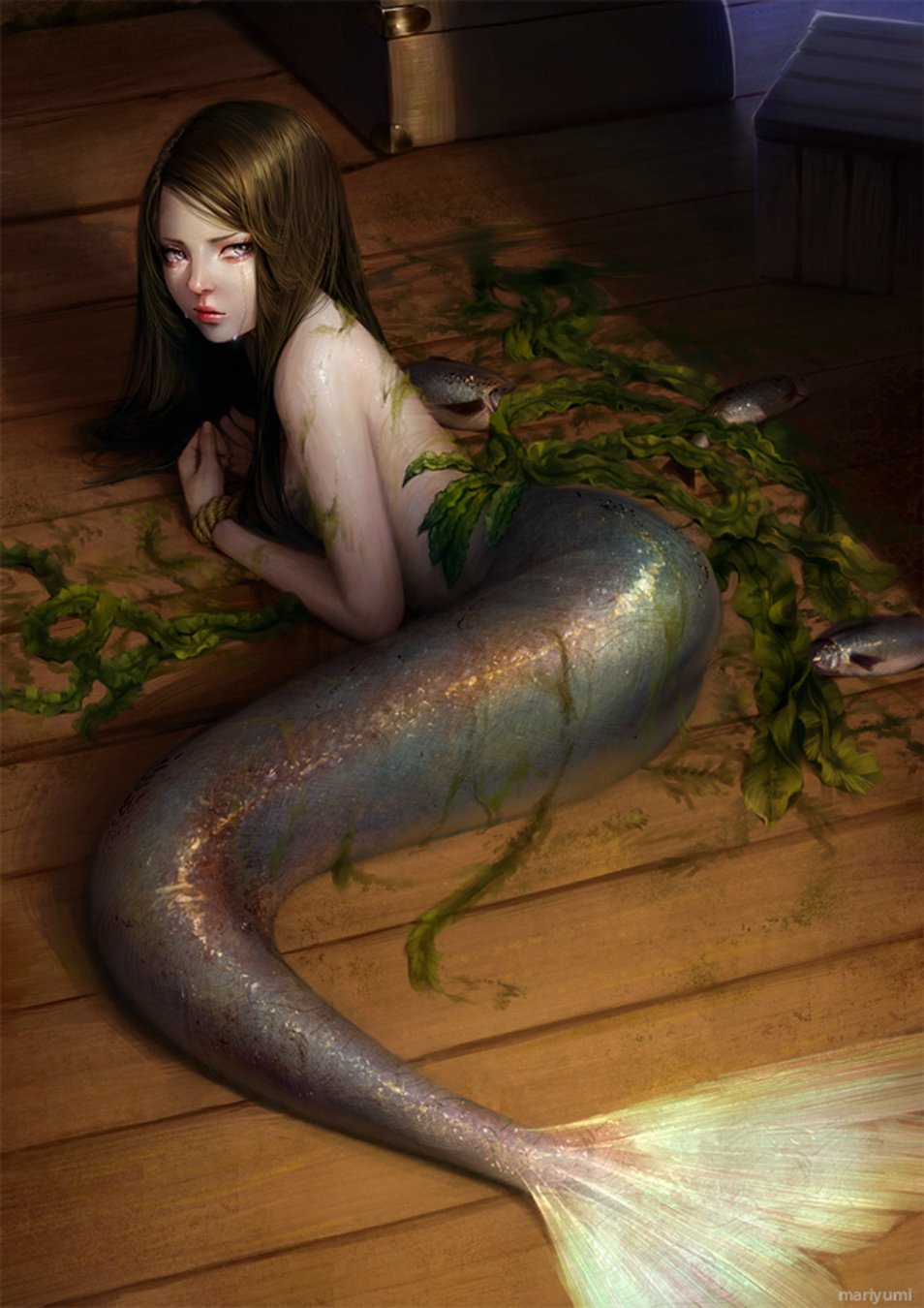 俺が人魚の画像を淡々と貼っていく 紳士の嗜み 俺が人魚の画像を淡々と貼っていく 紳士の嗜み
