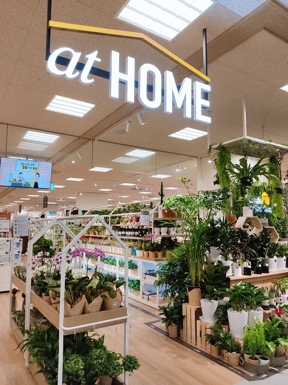 韓国 Eマートの生活専門店 アットホーム 韓国と私