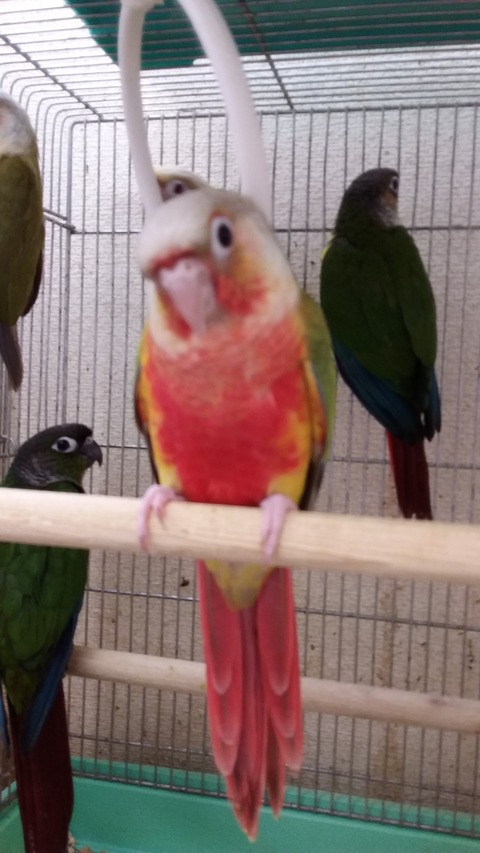 20190622_084555