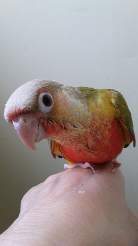 20190610_090011
