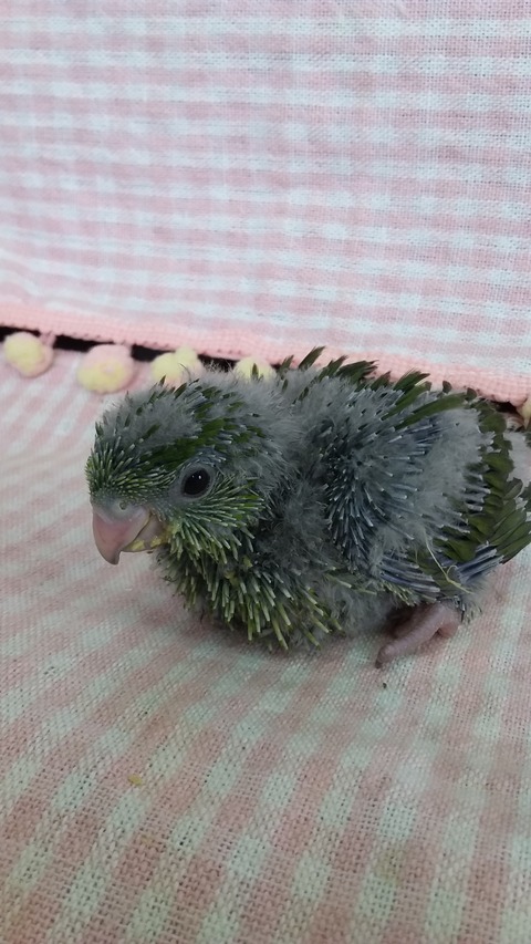 20190601_125458