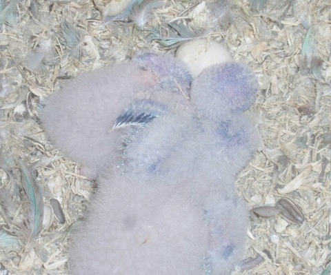 o0640048014513790224-1