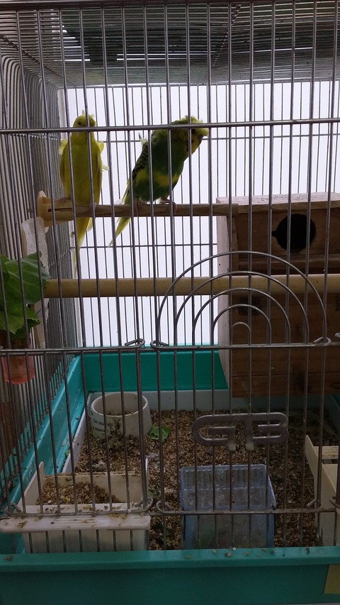 20190520_095901