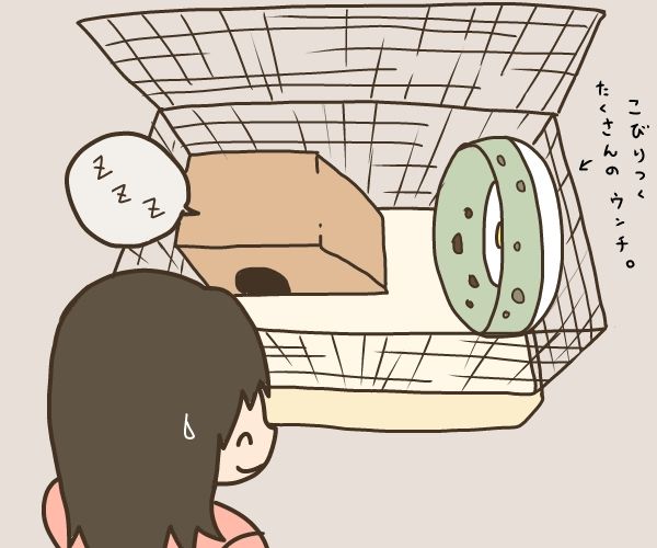 回し車との出会い ハリネズミのおもち