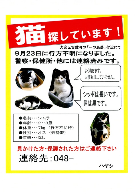 林シムラ　HP版