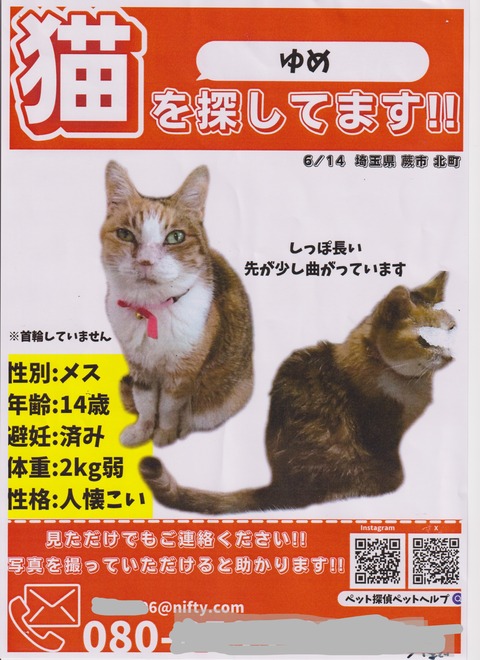 スキャン_20250718 (2)